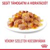 Royal Canin Appetite Control Care - étvágyat kontrolláló zselés nedves táp felnőtt macskák részére 12 x 85 g