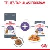 Royal Canin Appetite Control Care - étvágyat kontrolláló zselés nedves táp felnőtt macskák részére 12 x  85 g