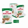 Royal Canin Mini Ageing 12+ alutasakos 12 x  85 g