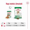 Royal Canin Mini Ageing 12+ alutasakos 12 x  85 g