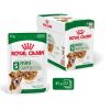 Royal Canin Mini Ageing 12+ alutasakos 12 x  85 g