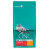 Purina ONE Bifensis Adult Sterilcat Chicken  6 kg