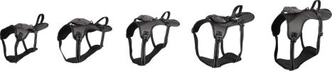 Flamingo Kelso hám - szürke  34-70 cm