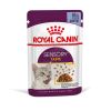 Royal Canin Sensory Taste - zselés nedves táp felnőtt macskák részére 12 x  85 g