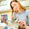 Inaba  Cat Juicy Bites - garnélarák és tenger gyümölcsei 3 x  11.3 g