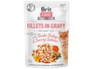 Brit Care Cat Fillets in Gravy - Turkey & Salmon  85 g