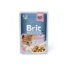 Brit Premium Kitten Gravy - Chicken Fillets  85 g