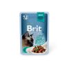 Brit Premium Cat Gravy - Beef Fillets  85 g