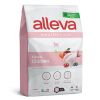 Alleva Equilibrium Kitten - csirke  10 kg