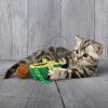 KONG Wrangler AvoCATo  1 db