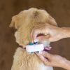 Tractive GPS DOG 4 – Kutyanyomkövető és aktivitáskövető  Sötétkék 