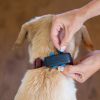 Tractive GPS DOG 4 – Kutyanyomkövető és aktivitáskövető  Sötétkék 