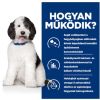 Hill's Prescription Diet c/d Multicare Urinary Care száraz kutyatáp  4 kg