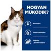 Hill's Prescription Diet w/d Digestive/Weight Management száraz macskatáp  3 kg