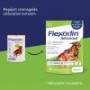 FLEXADIN ADVANCED DOG  60 db