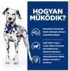 Hill's Prescription Diet u/d Urinary Care száraz kutyatáp  4 kg