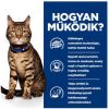Hill's Prescription Diet t/d Dental Care macskatáp  3 kg