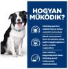 Hill's Prescription Diet t/d Dental Care száraz kutyatáp  4 kg