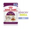 Royal Canin Sensory Smell - zselés nedves táp felnőtt macskák részére 12 x  85 g