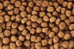 Specific CXD-M Adult Medium Breed száraztáp  10+2 kg