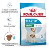 Royal Canin Mini Starter - száraz táp vemhes szuka és kistestű kölyök kutya részére  4 kg