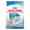 Royal Canin Mini Starter - száraz táp vemhes szuka és kistestű kölyök kutya részére  4 kg