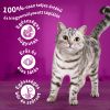 Whiskas alutasak eledel macskák részére krémes ízesítéssel 12 x  85 g
