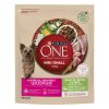 Purina ONE Mini Weight Control száraz kutyaeledel - pulyka  800 g