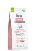 Brit Care Dog Sustainable Sensitive  1 kg