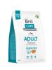 Brit Care Grain-free Adult Salmon & Potato  3 kg