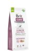 Brit Care Grain-free Junior Large Breed Salmon & Potato  12 kg