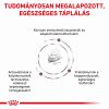 Royal Canin Gastrointestinal Kitten száraz macskaeledel  2 kg