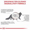 Royal Canin Gastrointestinal Hairball száraz macskatáp  400 g