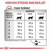 Royal Canin Gastrointestinal Hairball száraz macskatáp  400 g