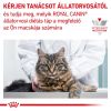 Royal Canin Gastrointestinal Kitten macskakonzerv  195 g