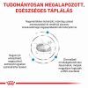 Royal Canin Anallergenic Small száraz eledel kistestű kutyáknak  3 kg