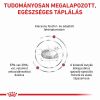 Royal Canin Renal szárazeledel kistestű kutyáknak  3.5 kg