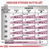 Royal Canin Renal alutasakos kutyaeledel  100 g