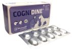 COGNIDINE TABL.  60 tabletta