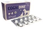 COGNIDINE TABL.  60 tabletta