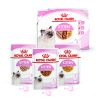 Royal Canin Kitten - Multipack nedvestáp 4 x  85 g