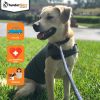 ThunderShirt nyugi mellény kutyáknak  XS db