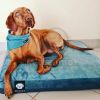 NRDOGS Soft Magic Prémium kutyafekhely - óceánkék  120x80 cm