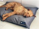 NRDOGS Soft Magic Basic kutyafekhely - szürke  90x56 cm