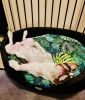 NRDOGS Peremes kutyafekhely - dzsungel mintás  60x53 cm