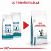 Royal Canin Skin&Coat diétás száraz állateledel felnőtt macskák számára  0.4 kg