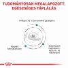 Royal Canin Skin&Coat diétás száraz állateledel felnőtt macskák számára  3.5 kg