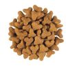 Royal Canin Feline Fibre Response Dry 31  2 kg