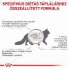 Royal Canin Feline Fibre Response Dry 31  2 kg