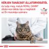 Royal Canin Feline Fibre Response Dry 31  2 kg